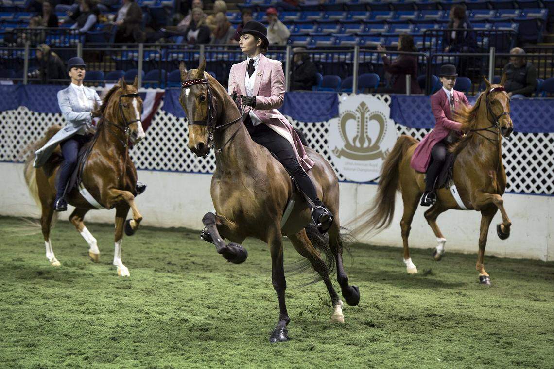 The UPHA/American Royal National Championship Horse Show will run Nov. 9-14 at Hale Arena, with a webcast available at richfieldvideo.com.