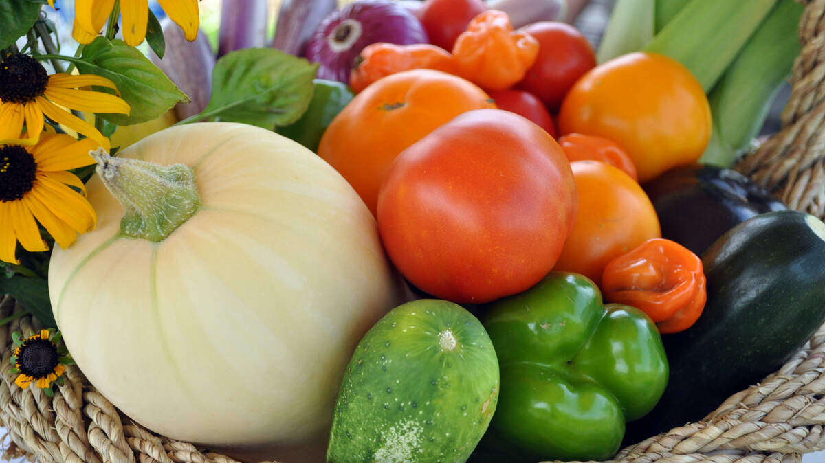 A great crop of veggies can be yours if you start planning early.