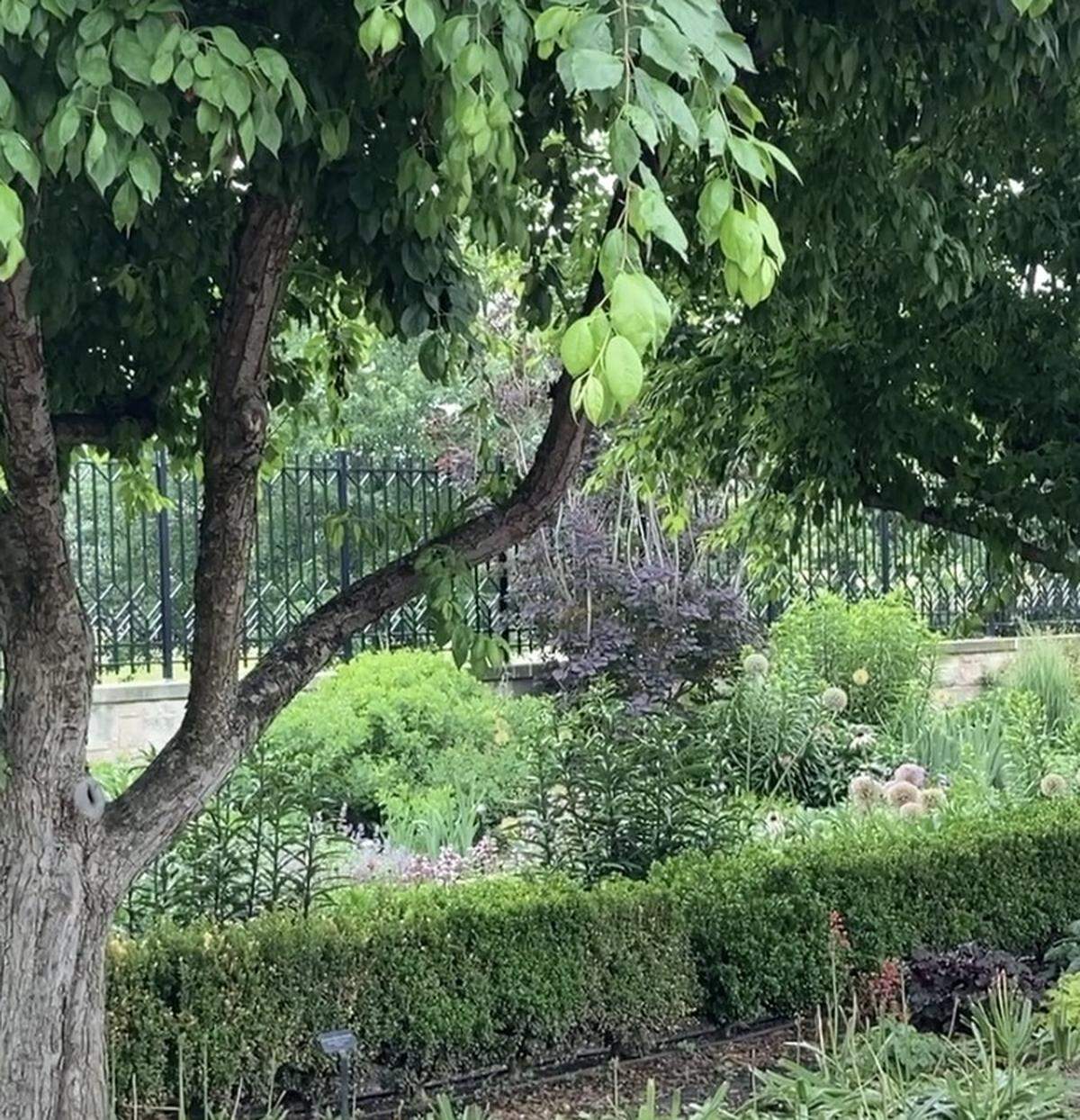 The Ewing and Muriel Kauffman Memorial Garden on May 21, 2026.