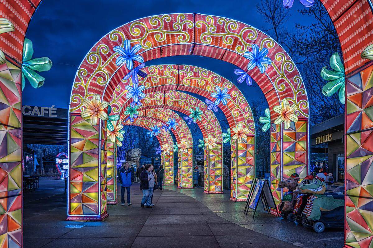 This will be the fourth year the Kansas City Zoo & Aquarium has presented its GloWild lantern festival.