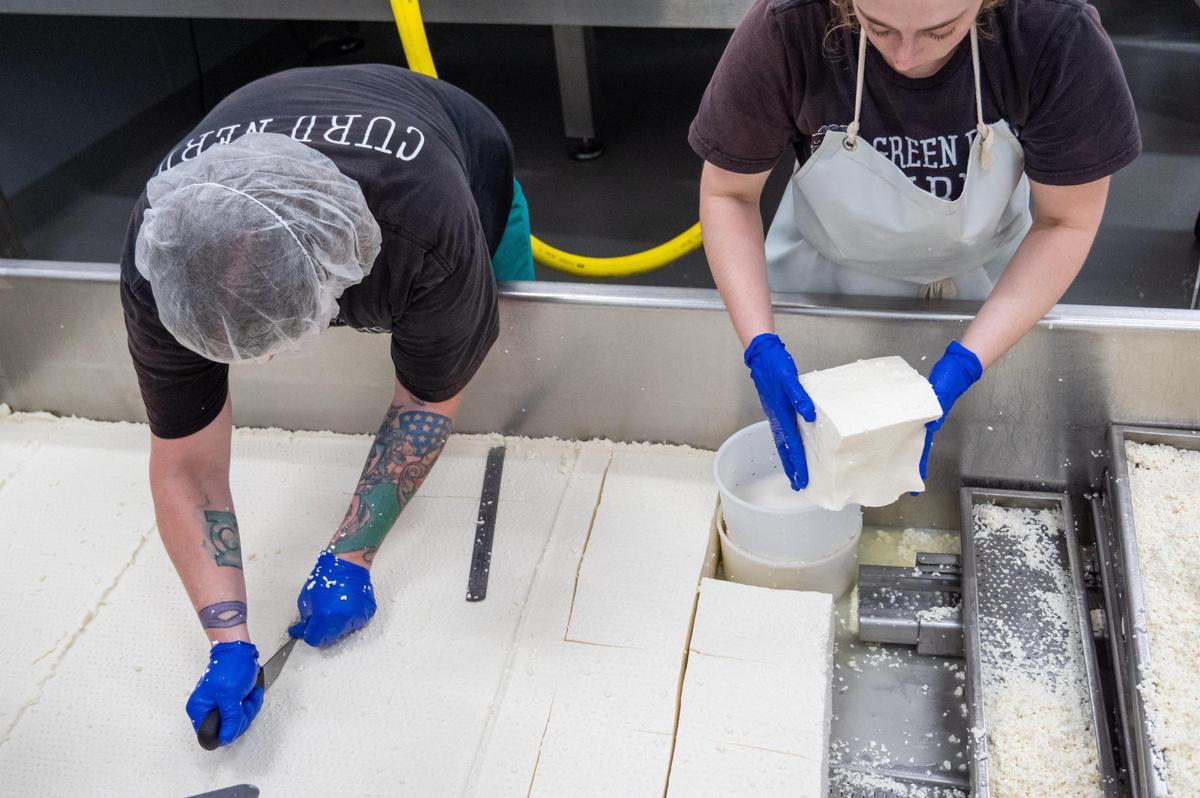 A large piece of knitted cheese curd is cut into smaller sections and pressed into molds.
