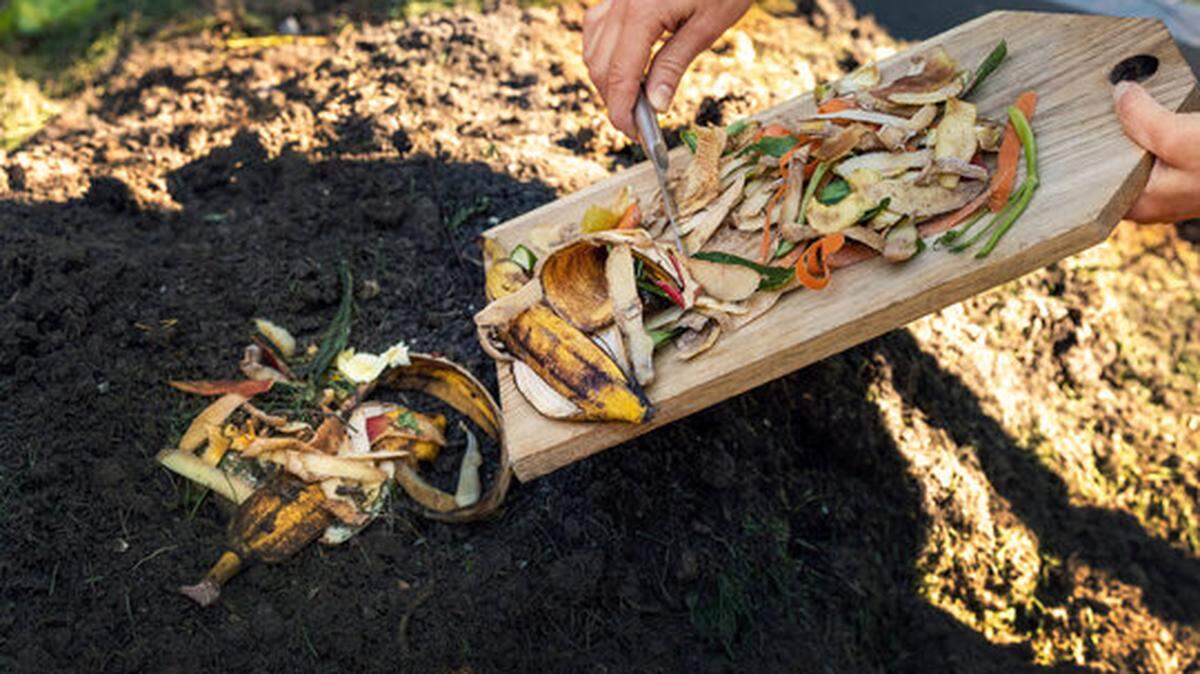 Composting requires the right balance of new materials, water and heat to keep the microorganisms in your pile healthy and happy.