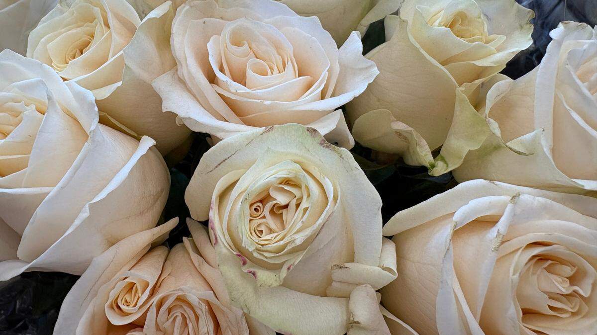 These roses can stay in the grocery store, for all Sherry Kuehl cares. A grand romantic gesture to her would be a new set of tires.