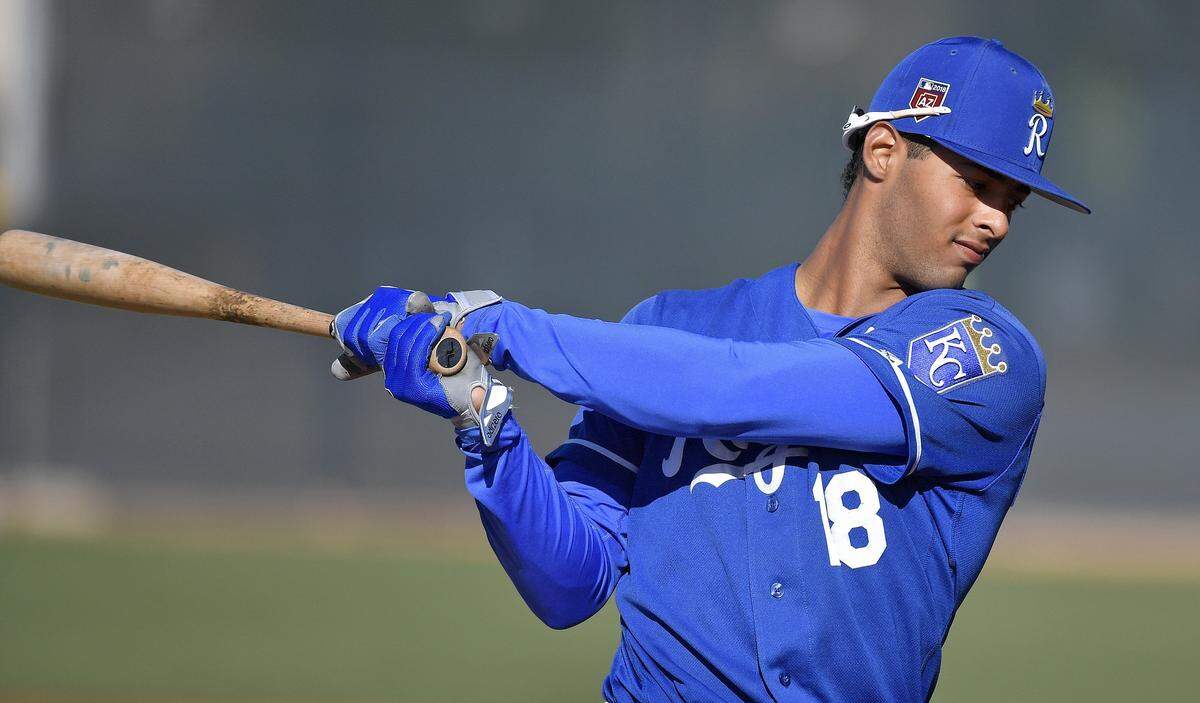 Royals prospect MJ Melendez