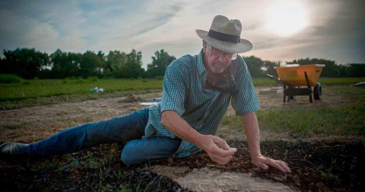 Kansas-born artist Stan Herd spreads natural materials on a patch of farmland near Lawrence, Kansas to create a larger-than-life portrait of Vice President Kamala Harris, who emerged this week as the frontrunner for the Democratic Party’s presidential nomination.