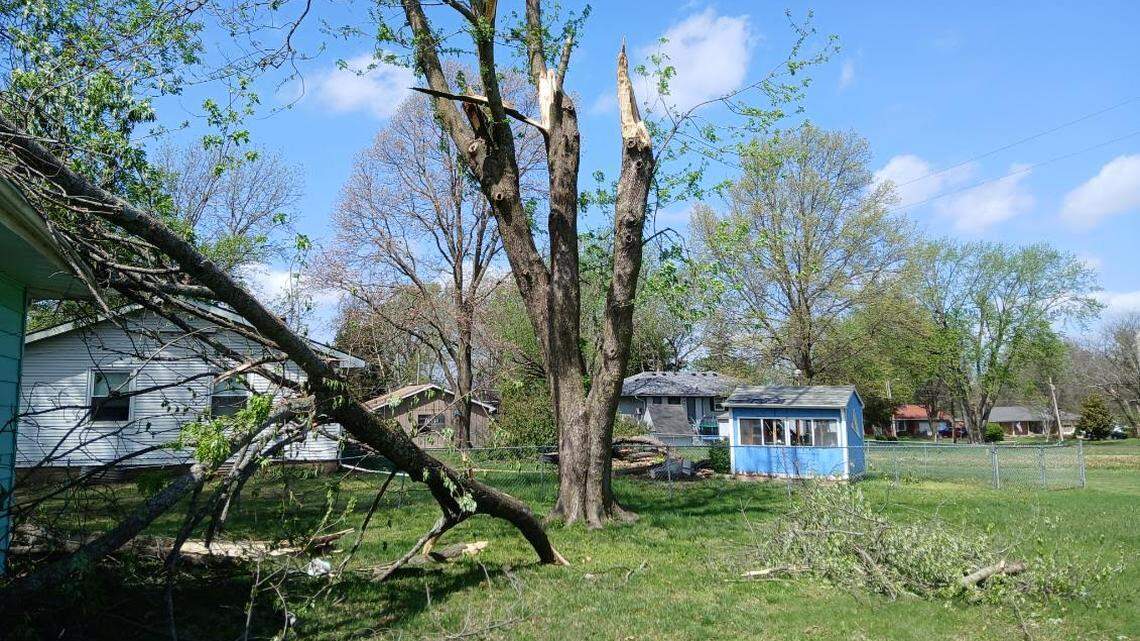 The downed tree in Susan Pilgrim’s backyard. It landed on the Spring Hill resident’s roof during Monday’s storms.