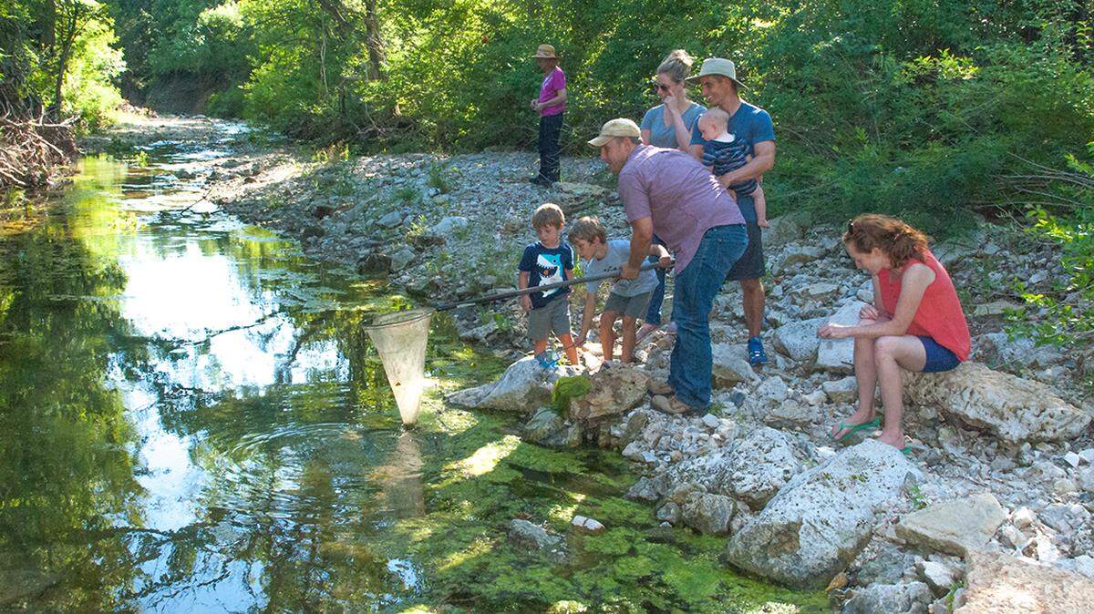 Brothers Henry and Wilson Wesch look into a Kansas stream, as their little brother George watches while being held by their father Mike Wesch. Their mother Sarah sits on rocks to the right. Helping the boys with the dip net is Ryan Klataske. His wife Rachel is next to Mike Wesch, and his mother Carol is in the background.