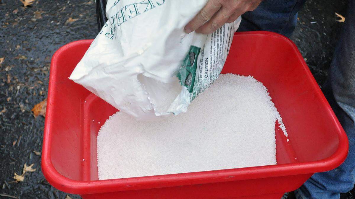 Fertilizers containing higher concentrations of nitrogen are ideal. Examples of fertilizers to apply in the fall would be 30-0-0, 29-0-4 or 30-0-4 or 25-0-0.