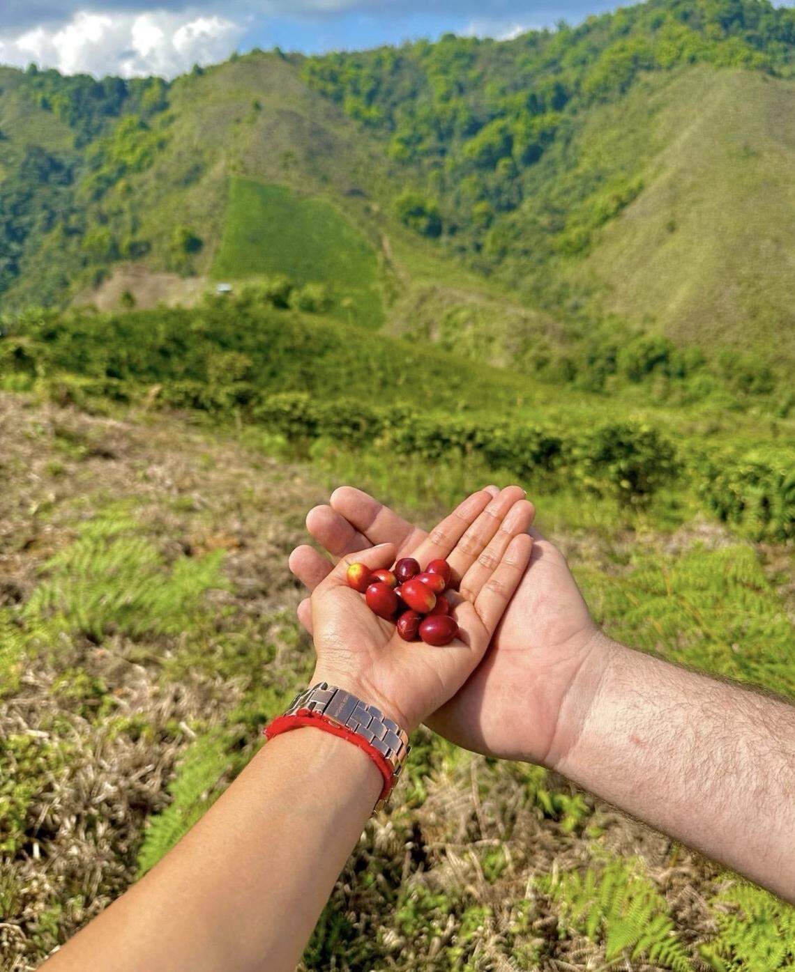 The Janssens’ farm is in the Andes Mountains in Colombia.