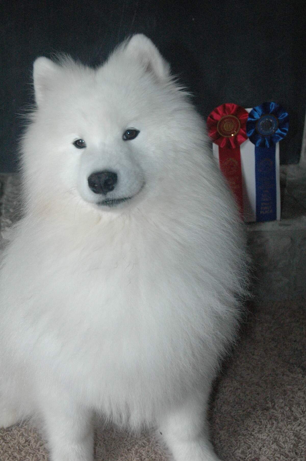 Zima showing off that pretty “Sammy smile.”
