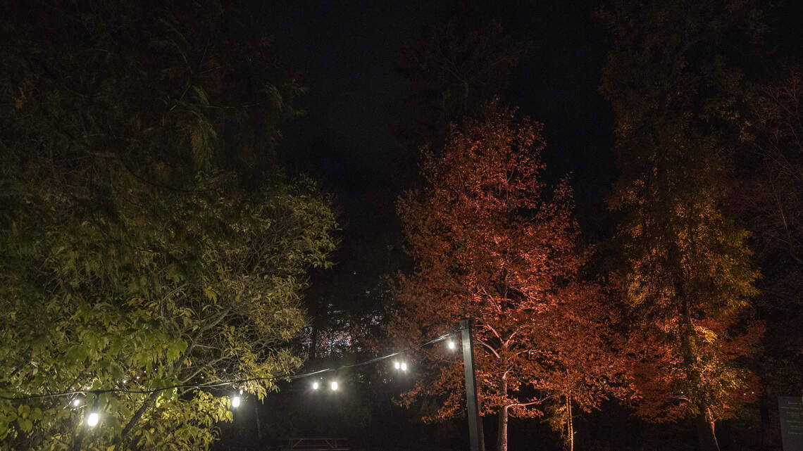 Inside the garden lighting upgrades that deliver stunning curb appeal on a low energy budget