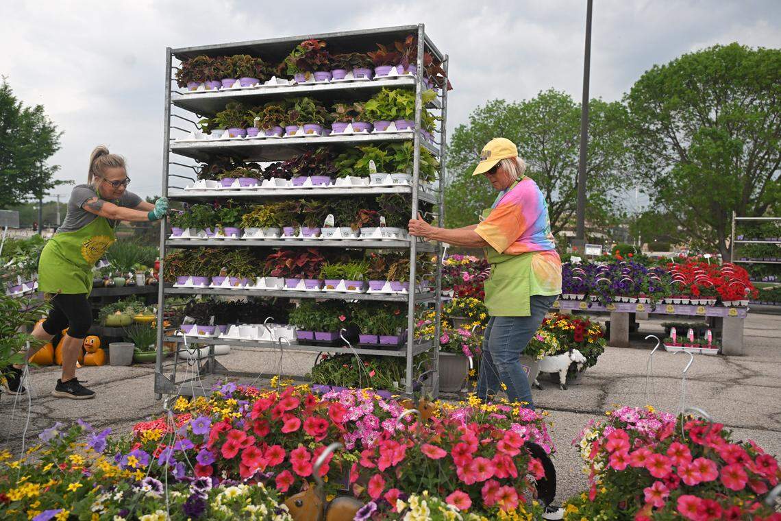 Helen Darrington, right, and her employees, pushed carts of plants into the Kaw Valley greenhouse, set up at Oak Park Mall, to protect them from the storm and the low temperatures expected overnight.