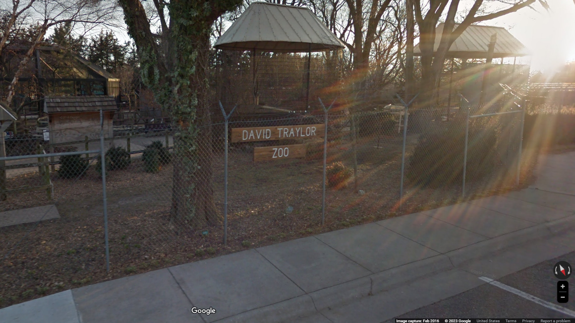 Cotton-top tamarin triplets were recently born at David Traylor Zoo in Emporia, Kansas.