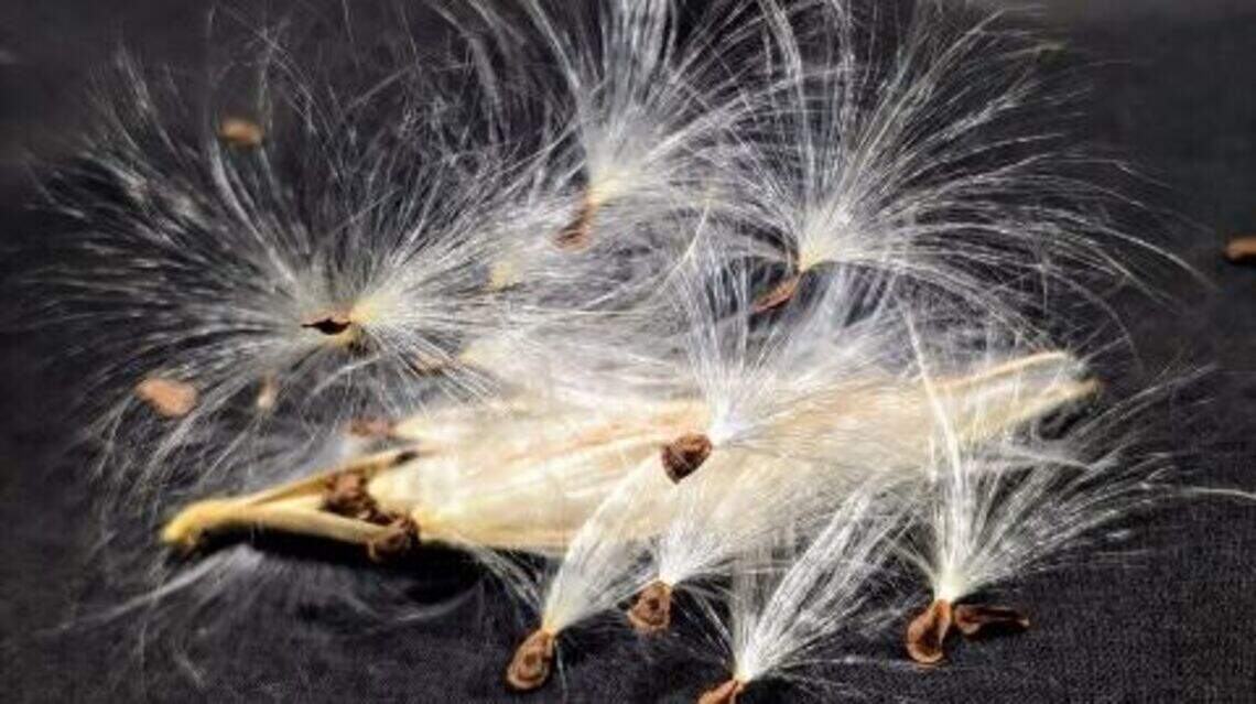 Your seeds are sleeping through this winter. Take these steps to help them wake up