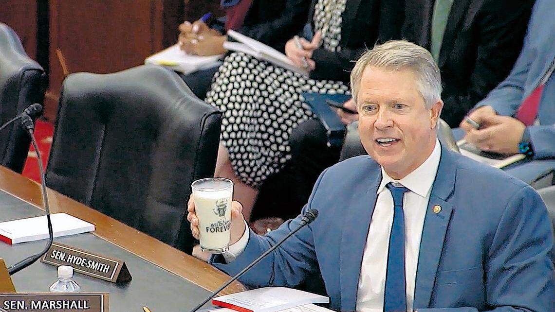 Sen. Roger Marshall holds up a glass of milk during a meeting of the U.S. Senate Committee on Agriculture, Nutrition and Forestry in Washington, D.C. on Thursday, Februrary 16, 2023.