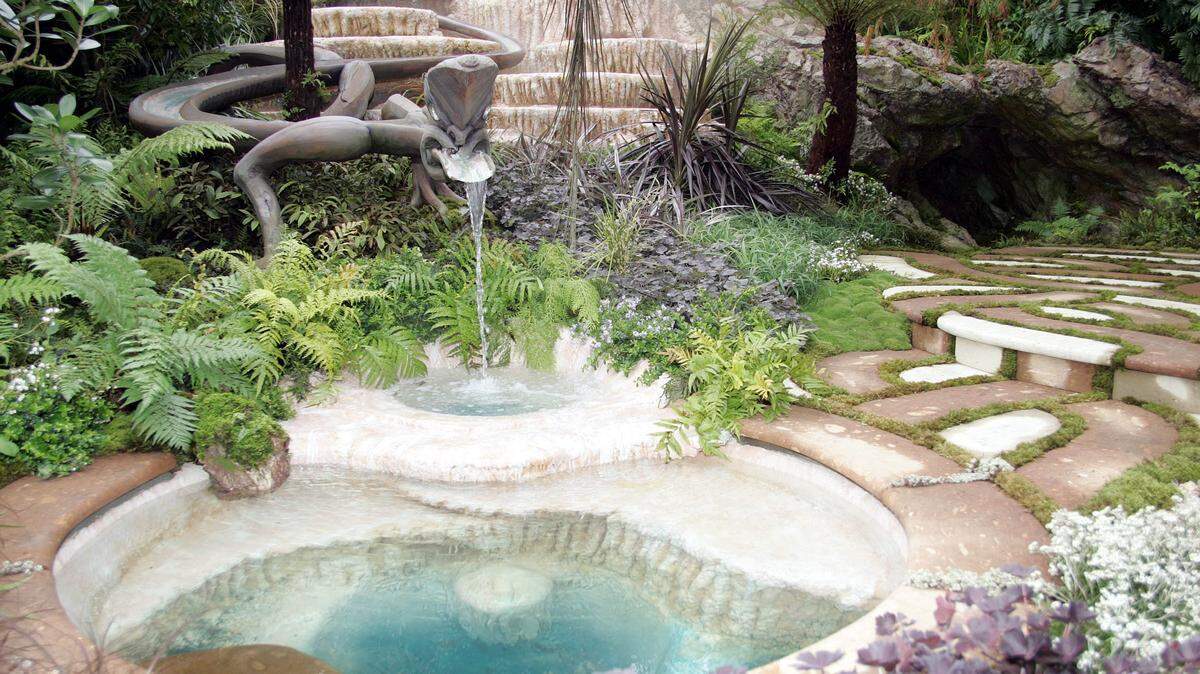 pond in backyard.