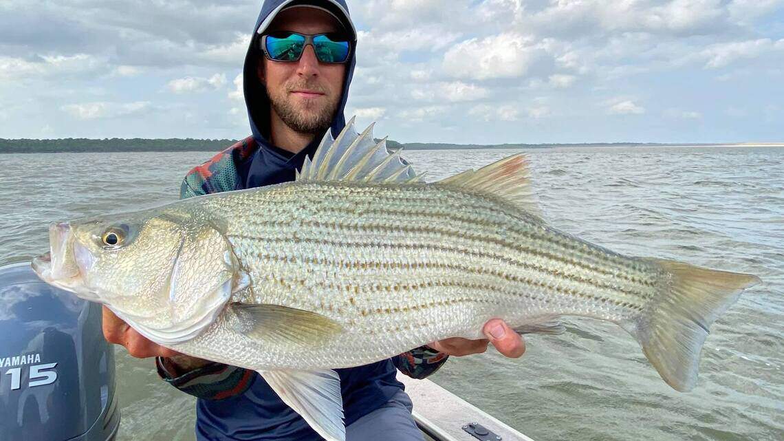 Outdoors report: Prospects looking good for a long July 4th weekend. And what a fish!