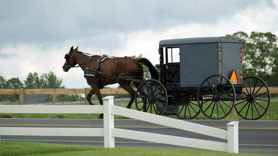 An SUV rear-ended horse-drawn Amish buggy (not the one pictured) in Sanilac County, killing a 10-year-old, injuring his dad and 12-year-old brother, sheriff said.