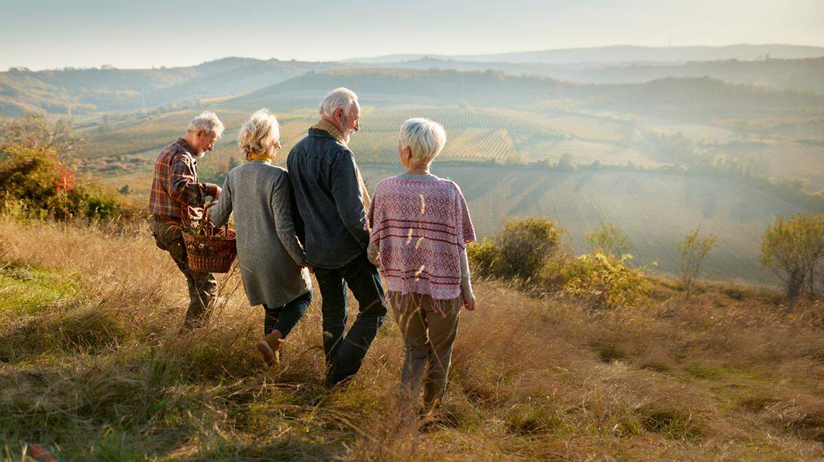 Rear view of happy mature friends holding hands while going on a picnic during autumn day down the hill. Copy space. older adults seniors senior citizens