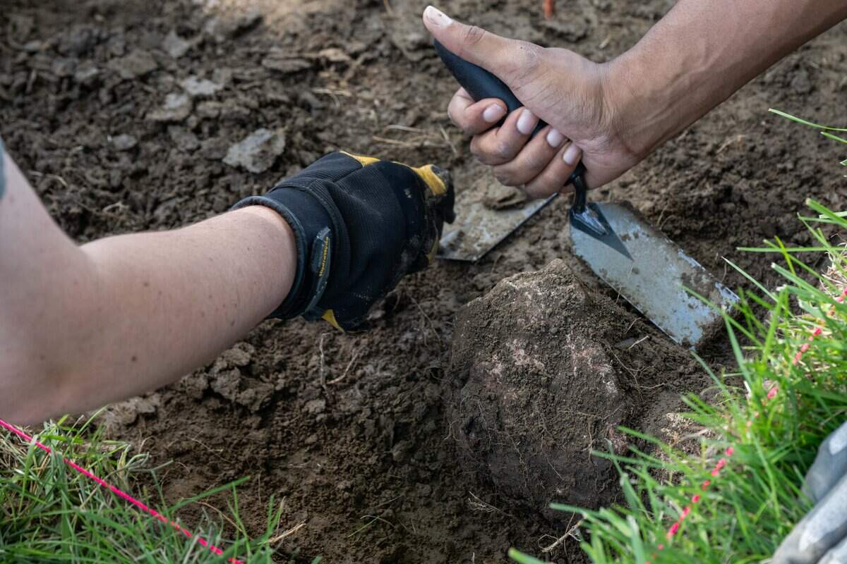 Students dig in the area of The Historic Halfway House Cellar on Tuesday, June 23, 2026, in Weston. Archaeologist Dr. Ann Raab instructs a class excavating a small area where the former Halfway House previously stood. The hope is to find artifacts or evidence of slavery on the grounds.