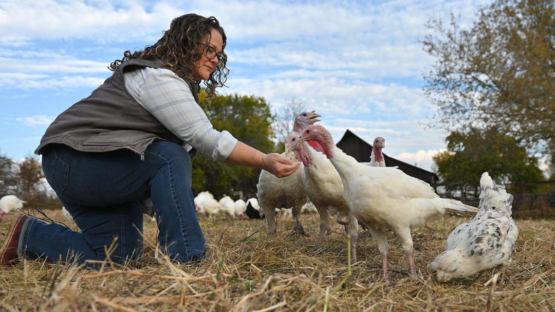 Want to fight climate change? Buy turkeys, beer and veggies grown with this new method