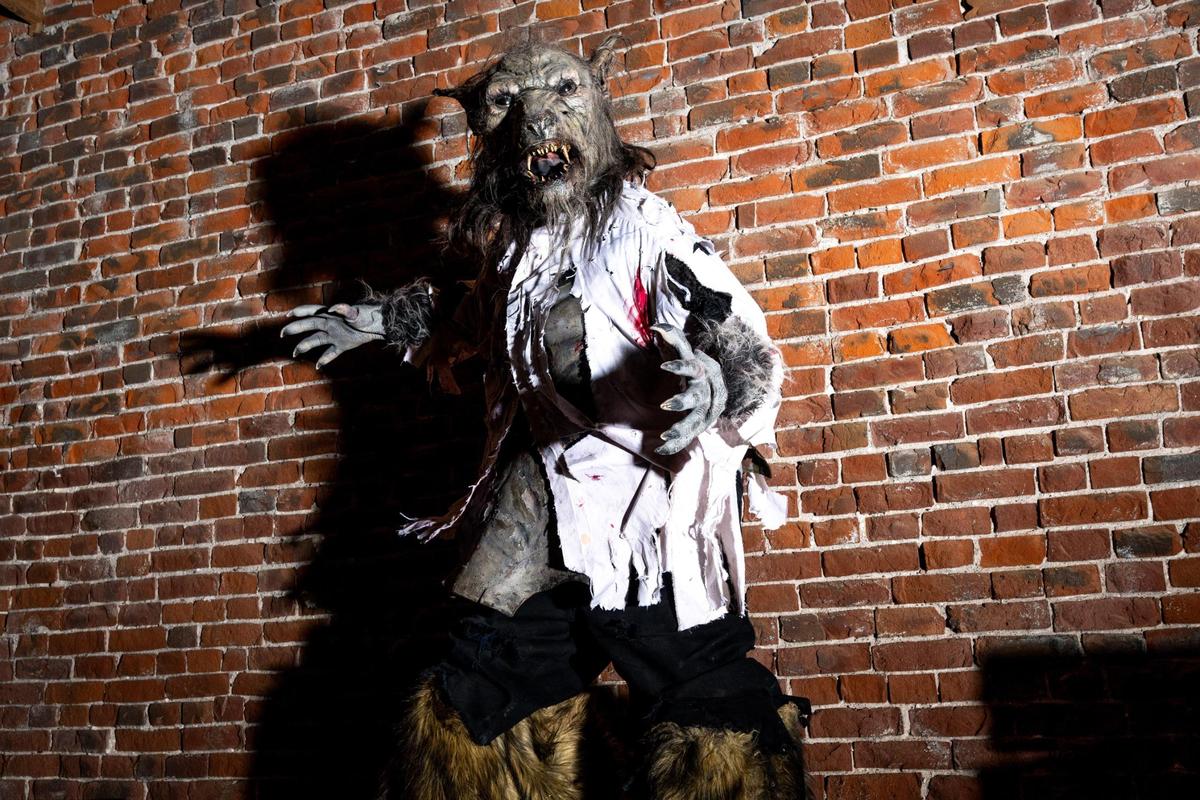 WOLFIE THE WEREWOLF - This 8-foot-tall creature roams and chases visitors around the grounds of The Beast.