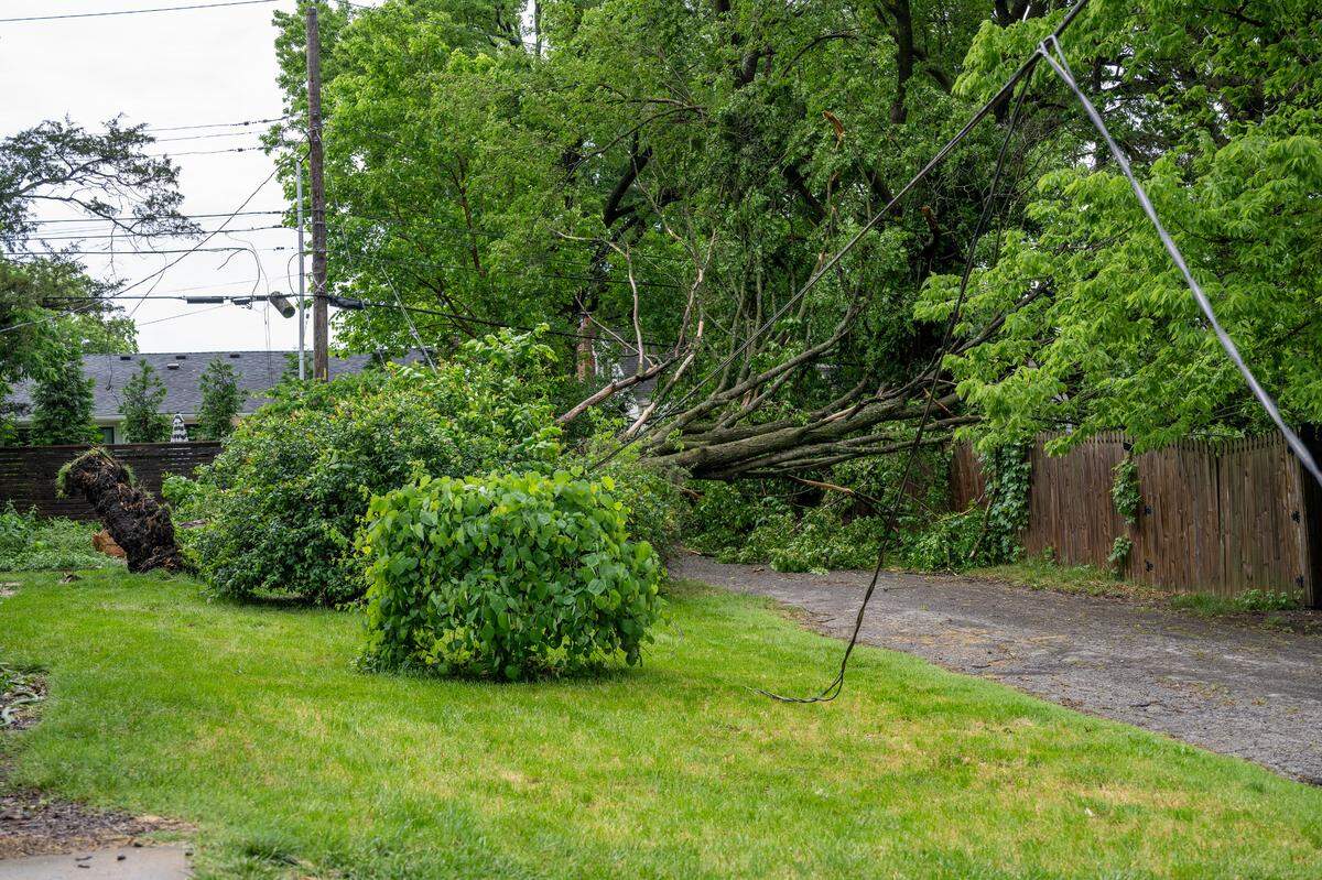 A tree was uprooted along West 71st. Street in Kansas City after strong storms moved through the area on Monday, May 19, 2025.