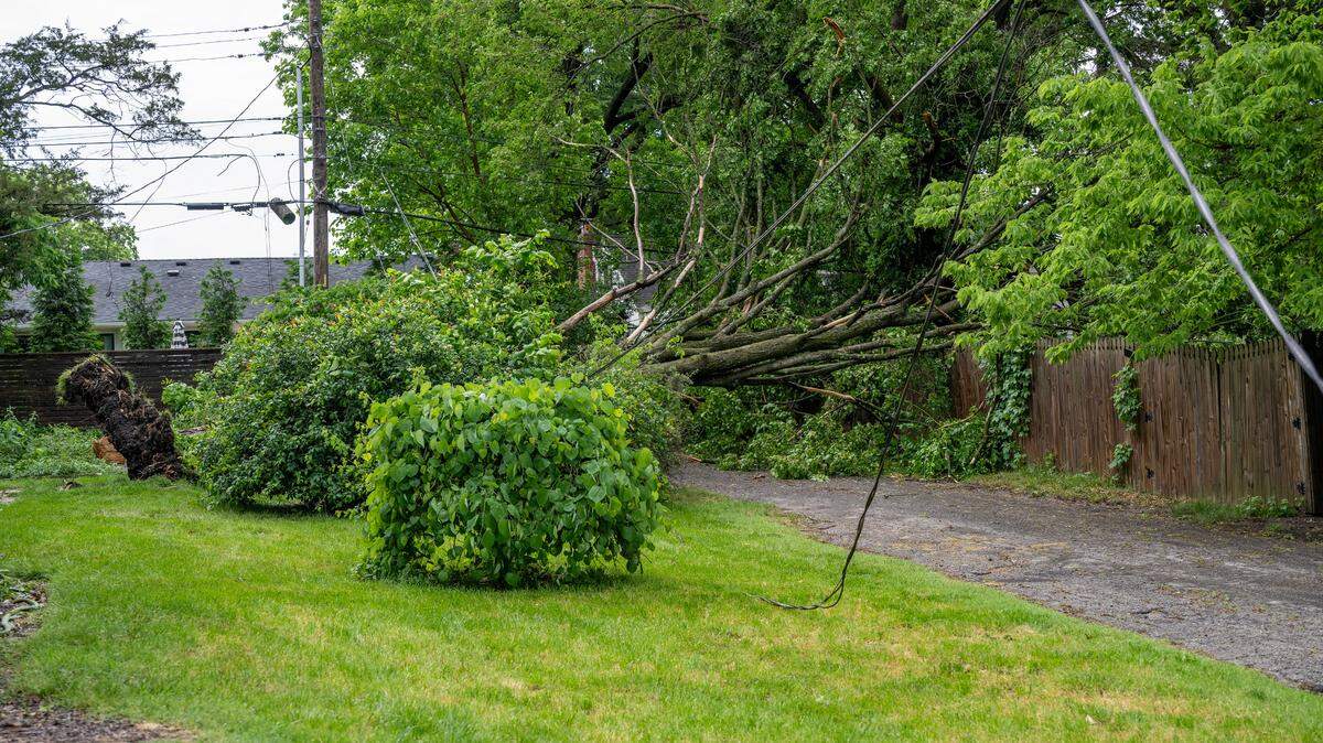 A tree was uprooted along West 71st. Street in Kansas City after strong storms moved through the area on Monday, May 19, 2025.