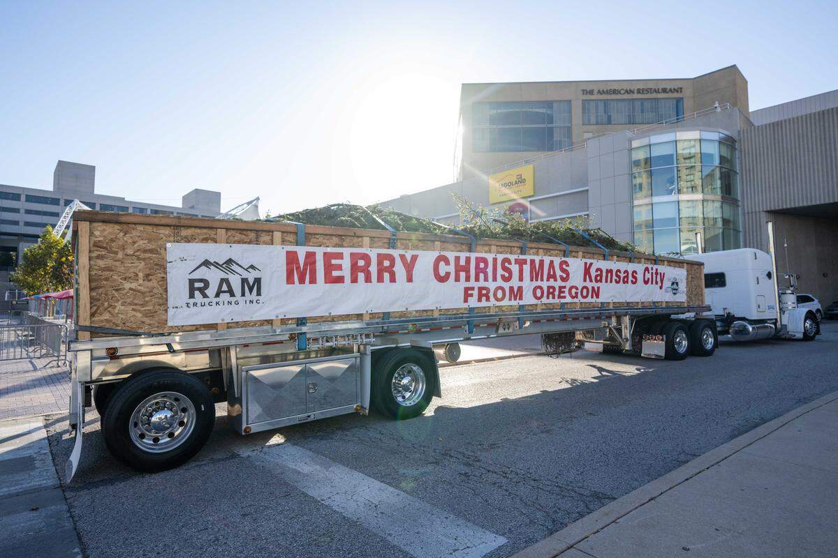 The limbs come separate on the Mayor's Christmas Tree, on Thursday, Nov. 6, 2025, in Kansas City. Transported on a custom-made trailer, the 100-foot-tall tree is donated and transported from Cascade Timber Consulting of Sweet Home, Oregon.