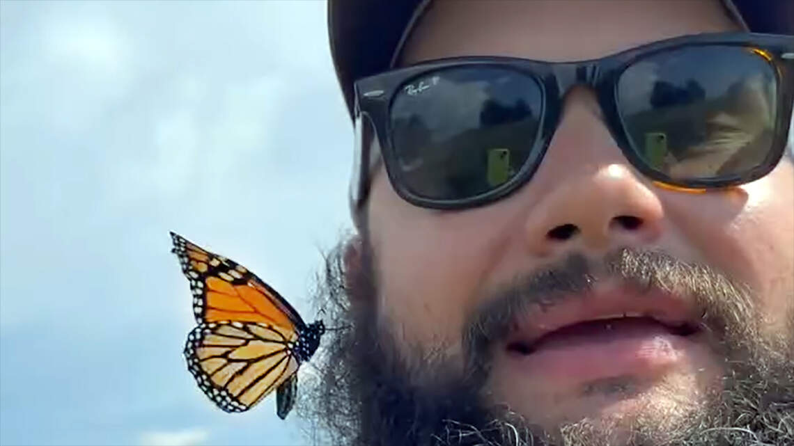 Kansas and its butterflies don’t need this new data center | Opinion