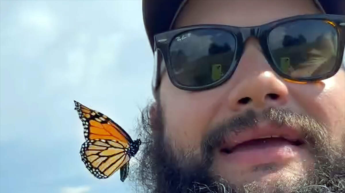 Tyler Carpenter of Beulah’s Butterfly Ranch