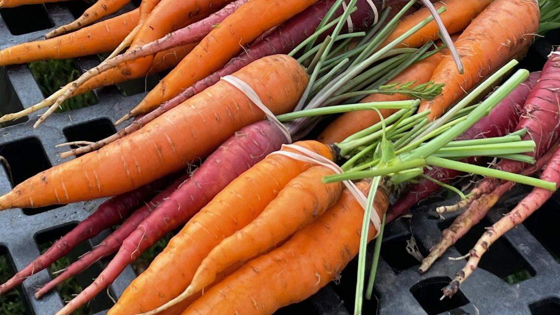 Why root vegetables can change flavor as fall hits Kansas City area gardens