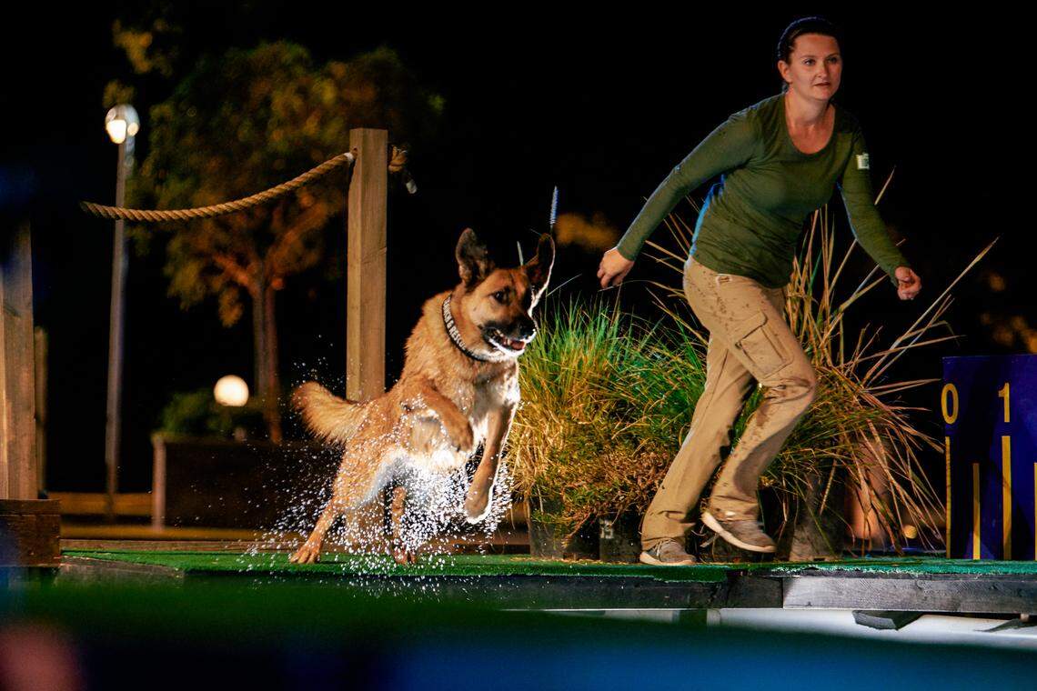 On “America’s Top Dog,” dogs alongside their handlers face off on a massive canine obstacle course.