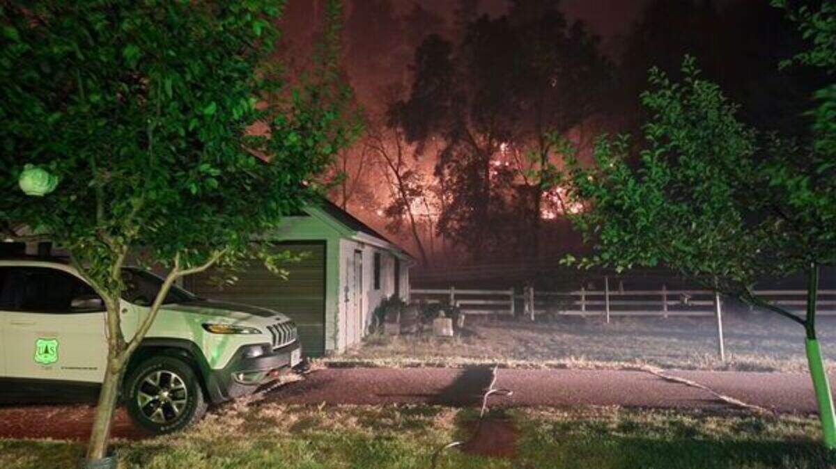 The Bovee fire, a major wildfire near Halsey, Nebraska, burned a 4-H campground and forced a nearby town to evacuate, forest officials say.