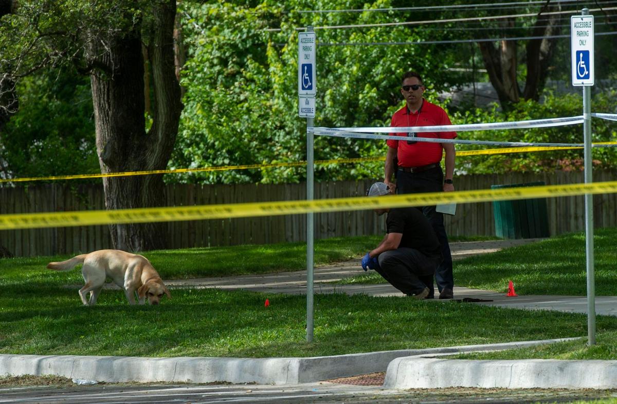 A police dog sniffs for evidence on the scene of the homicide that occurred at 108th and Sycamore, Tuesday, June 8, 2021 in Kansas City. The victim of the shooting was a juvenile who was transported to a hospital and later died.