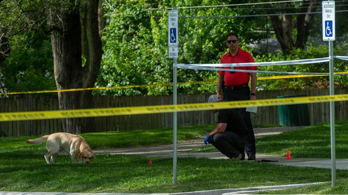 A police dog sniffs for evidence on the scene of the homicide that occurred at 108th and Sycamore, Tuesday, June 8, 2021 in Kansas City. The victim of the shooting was a juvenile who was transported to a hospital and later died.