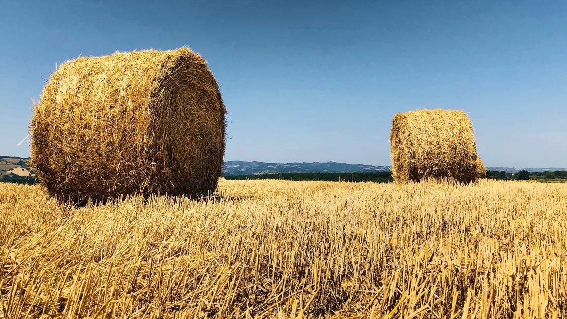 A 60-year-old man died after hay bales fell on him in Wisconsin, officials say.