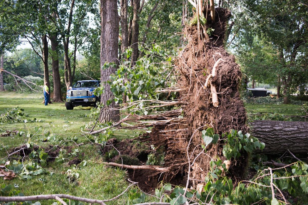 Lots of tree damage are left in Lake Lotawana neighborhoods after a EF-0 tornado hit the area Tuesday afternoon.