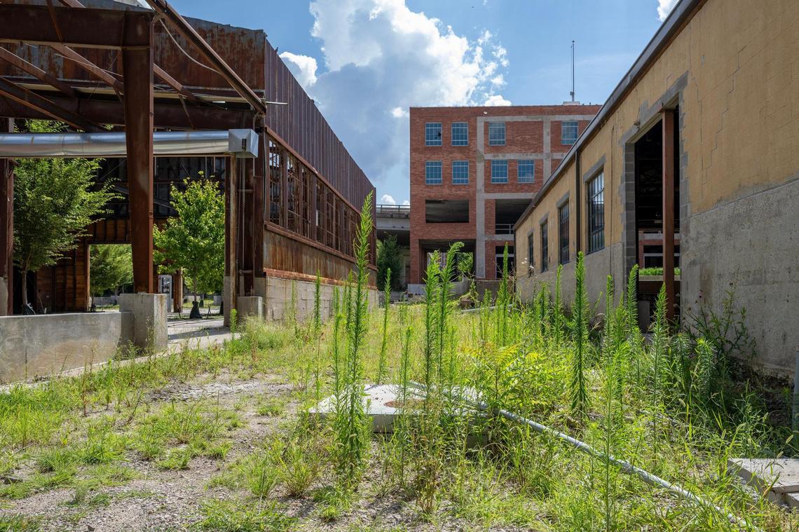 Weeds and overgrown brush spread across Pennway Point, a planned entertainment district to features bars, restaurants, music, beach volleyball and yard games in the shadow of the KC Ferris wheel, 2485 Jefferson St. The project has been delayed.