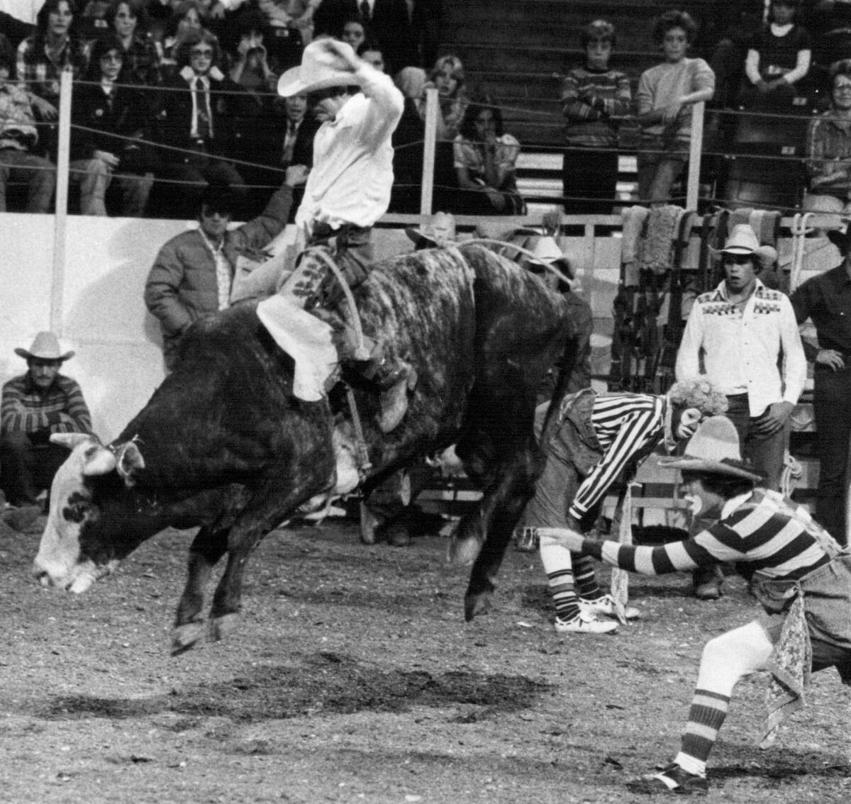 The American Royal Rodeo, 1978