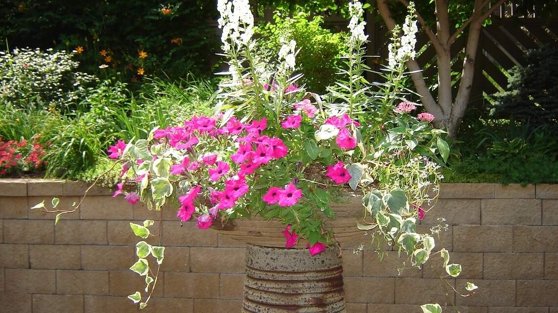 How to create eye-popping flower planters this spring? Use these three ingredients