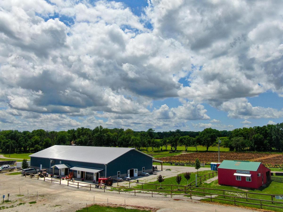 Gieringer’s Family Farm, a U-pick Orchard & Berry Farm in Edgerton, Kansas, on Wednesday, June 18, 2025.