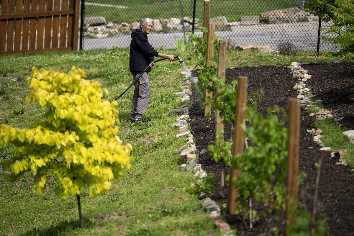 Jennifer Schmidt, a board member of Eden Village of Kansas City, waters a row of grapevines on Tuesday, May 12, 2026, at the tiny home community, 1001 Metropolitan Ave., in Kansas City, Kansas. 