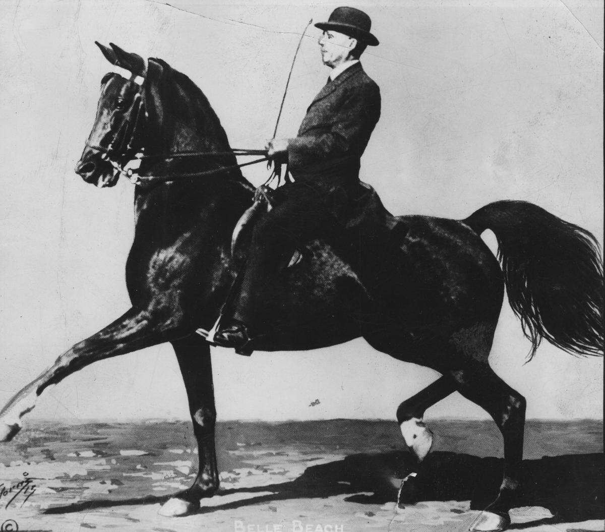 Tom Bass won championships around the country riding and training American saddlebred horses.