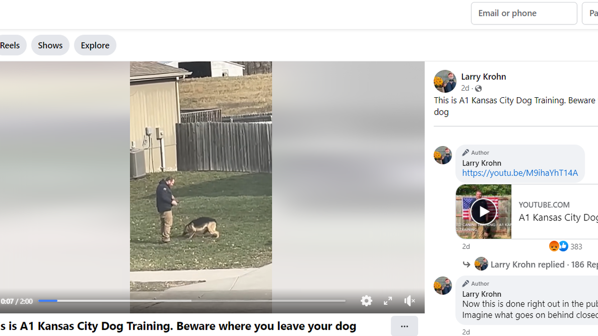 Matt Fiala faces three municipal citations after a video circulating on social media allegedly showed the Pleasant Hill dog trainer abusing a German Shepherd.