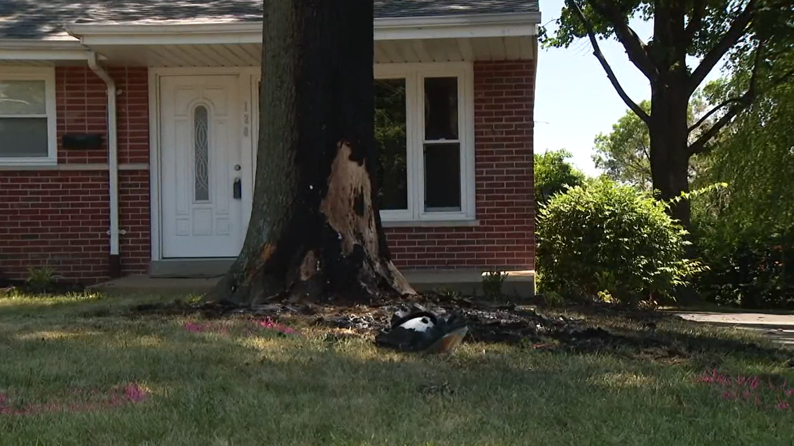 Two teenagers and a 9-year-old child were killed after a 13-year-old driver crashed into a tree, police said. The driver survived.