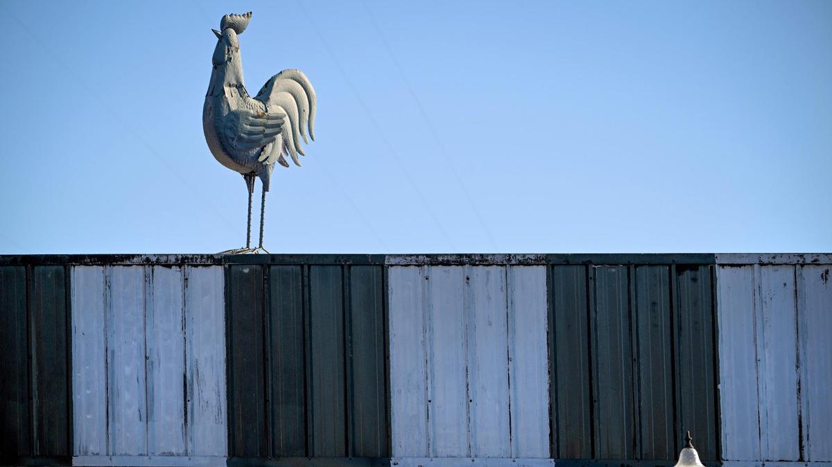 A rooster gazes out at Dogpatch from its perch on the roof of The Spott.