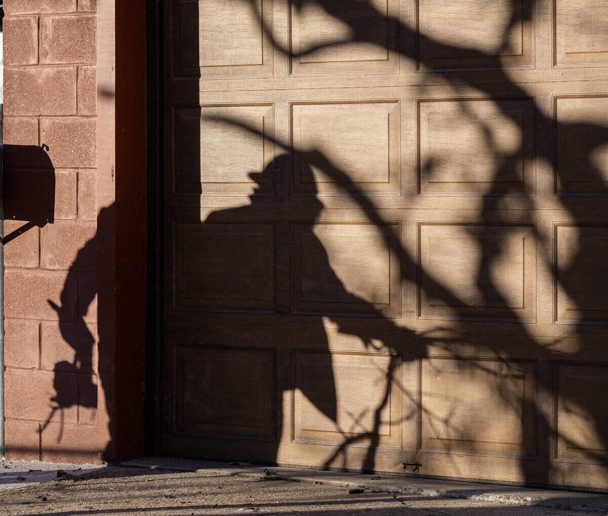 Shadows of a tree removal crew and tree branches are cast on a garage door during the cutting of a 250-year-old bur oak on Wednesday, Jan. 14, 2026, in Northeast neighborhood of Kansas City.