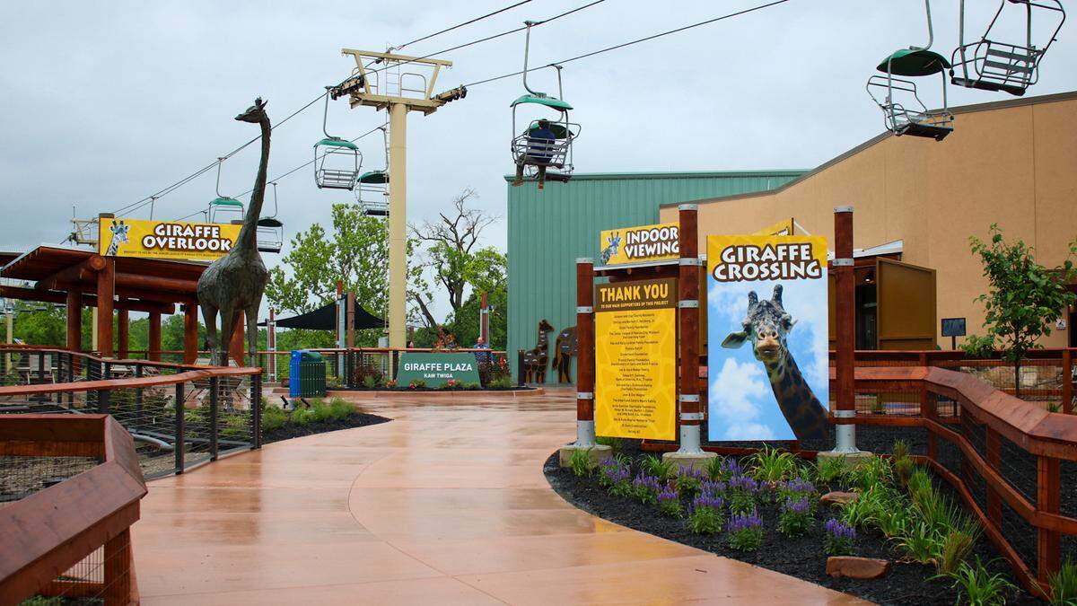 The Kansas City Zoo and Aquarium opened its new Giraffe Crossing exhibit Friday.