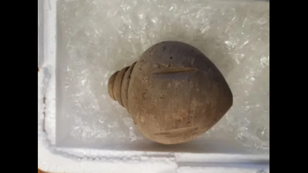 Customs officials found an ancient object inside a seemingly mundane shipment from the UK into Oklahoma.